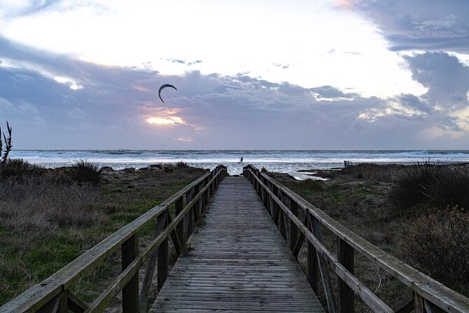 Tarifa and Bolonia , Full-Day Food and History Tour From Marbella - Tour Overview
