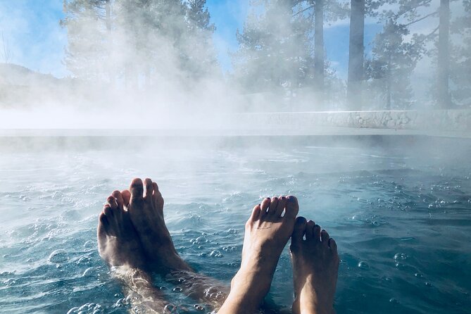 Taste of Lapland - Key Points