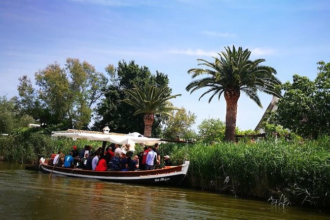 The Albufera Natural Park Private Tour From Valencia With Transport - Overview of the Tour