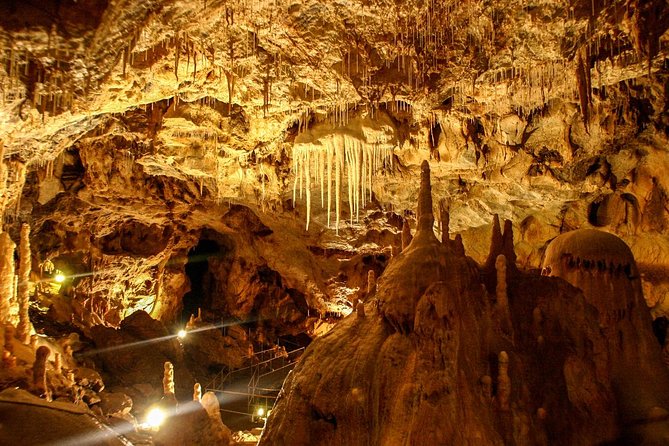 The Bears Cave - One-Day Air Conditioned Car Tour From Oradea - Good To Know