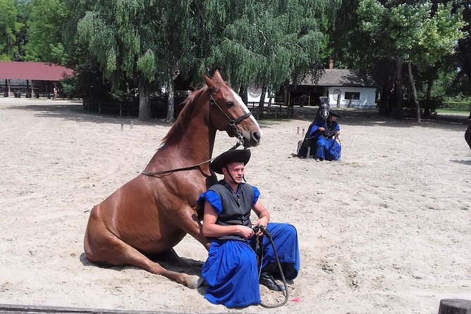 The Puszta Horse Show - Key Points