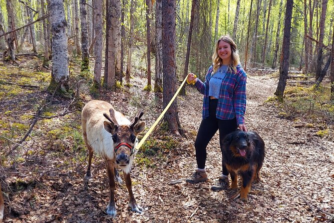 The Reindeer Grove Homestead Tour and Forage - Good To Know