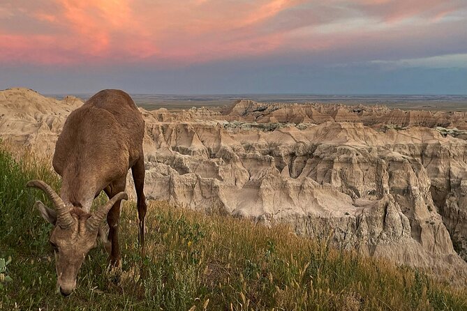 The Southern Black Hills Explorer - Good To Know