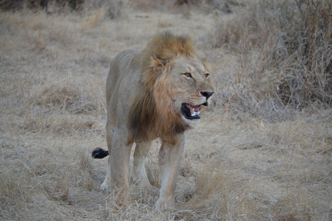 Three Days Ngorongoro Crater, Lake Manyara and Taragire National Park (Joining) - Key Points