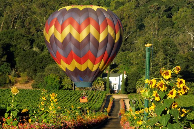 Thrilling Napa Balloon Ride: No Change After 5pm the Day Prior to Balloon Tour - Good To Know