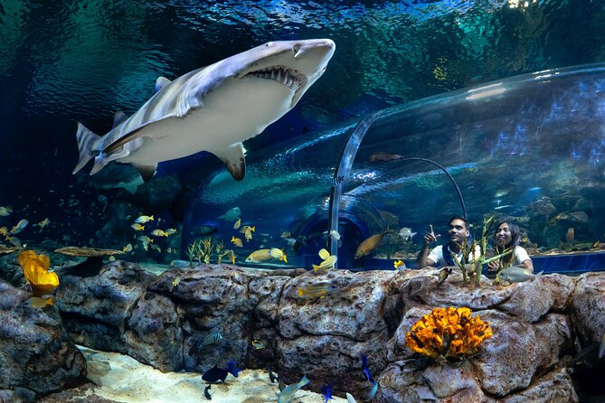 Ticket to the Largest Oceanarium of the Mascarene Islands - Good To Know