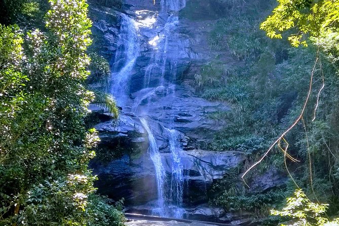 Tijuca Forest National Park - Overview of the Park