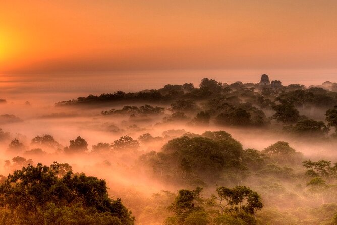 Tikal Maya Ruins Day Tour - Tour Overview
