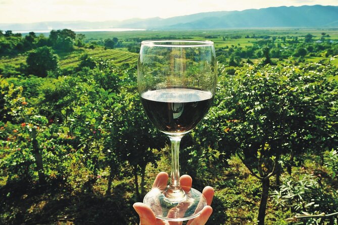 Tikvesh Wine Region - Good To Know
