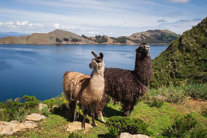 Titikaka Lake & Sun Island - 2 Days - Private Service - English Speaking Guide - About Your Stay