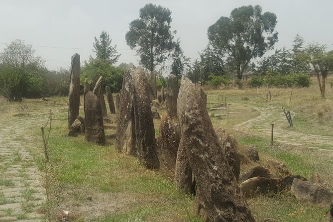 Tiya ( UNSCO ) Site and Adadi Maryam Church - Good To Know