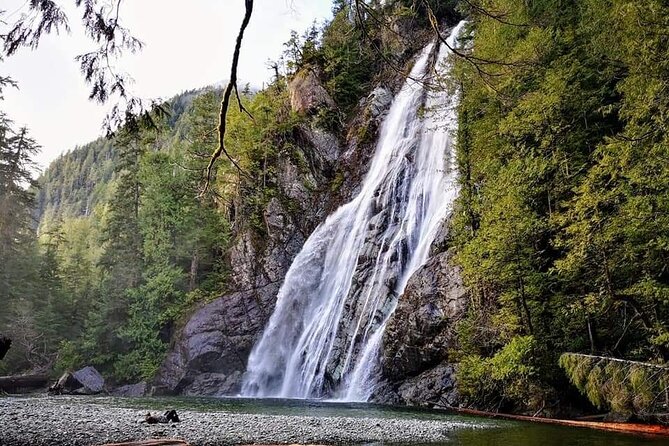 Tofino Private Tour: Coastal Excursion to Rainforest Waterfall - Good To Know