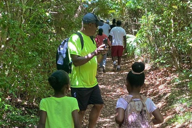 Tom Moores Jungle and Eco Tour - Tour Overview