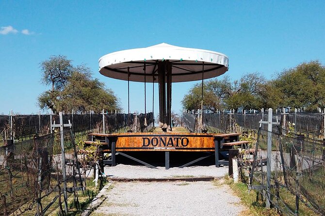 Tour in Spanish to the Traditional Cheese and Wine Route, Leaving From Querétaro - Inclusions