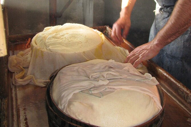 Tour of the Cheese and Wine Routes in Cammarata - Key Points