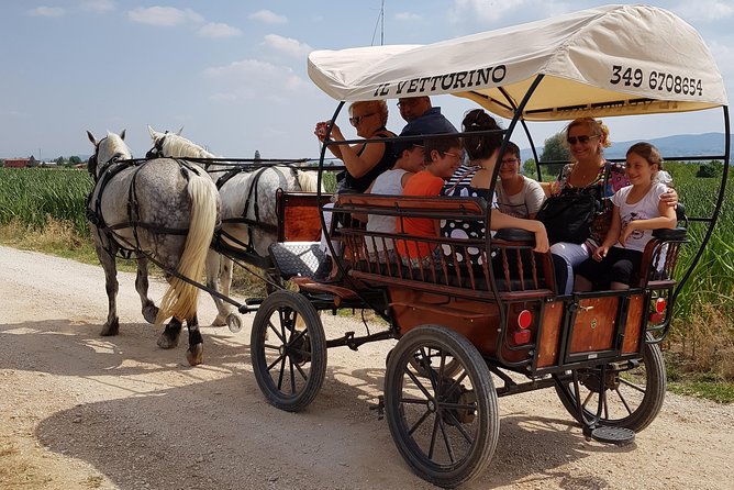Tour the Wine Route - Key Points