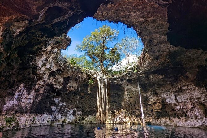 Tour to 4 Cenotes of Santa Barbara and Acanceh Area From Merida - Key Points