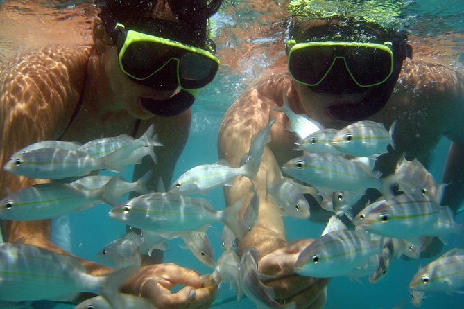 Tour to Maracajaú With Catamaran Ride - About Your Stay
