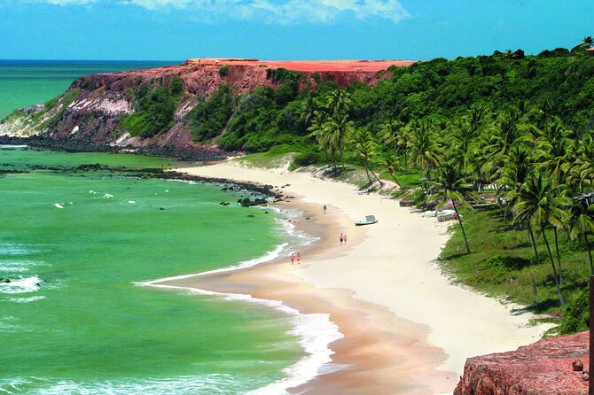 Tour To Pipa Beach From Natal - Overview of the Tour