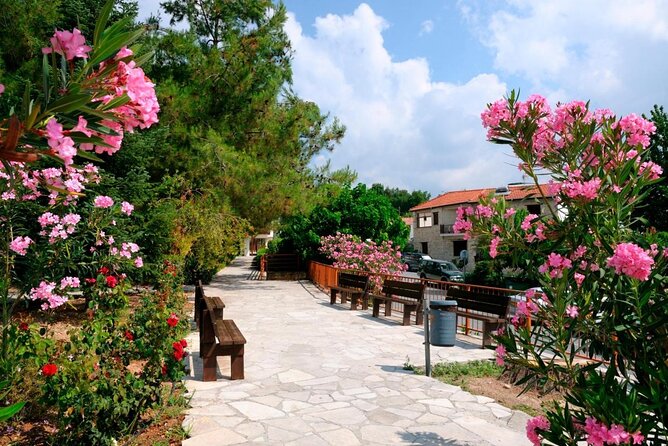 Tour TROODOS MOUNTAINS From Paphos - Key Points