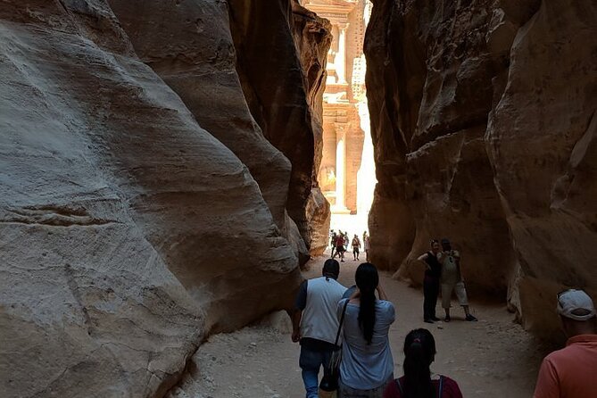 Transfer Amman To/From Petra - Vehicle and Amenities