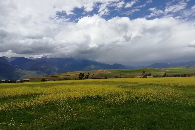 Transfer Cusco_Ollantaytambo or Vice Versa With City Tour and Pisac - About Your Stay