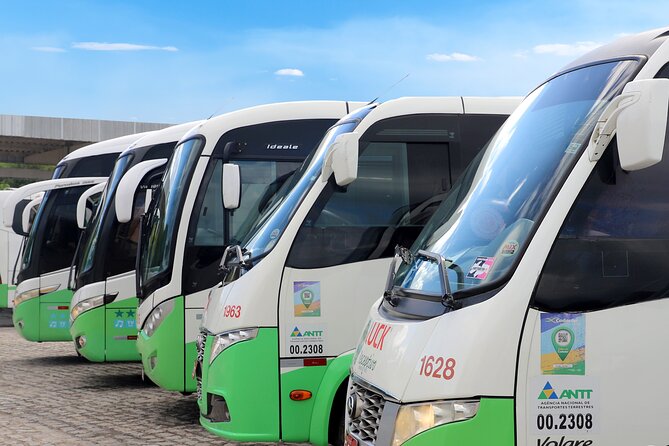 Transfer From João Pessoa Hotel to Recife Airport - Good To Know