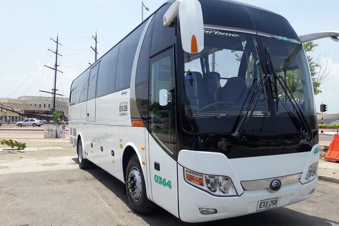 Transportation Services in Buses and Van of Various Quotas Full Availability - Overview of Transportation Options