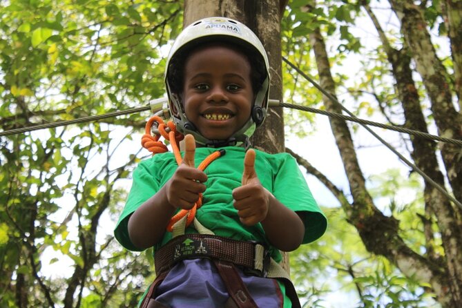 Tree Climbing Among the Araucarias - About Your Stay