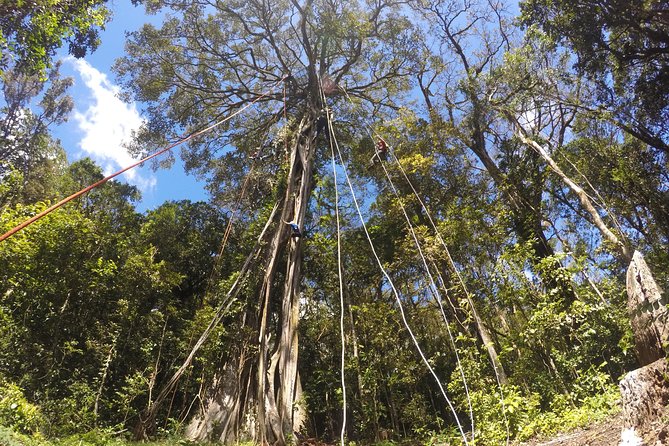 Tree Top Climbing Monteverde - About Your Stay