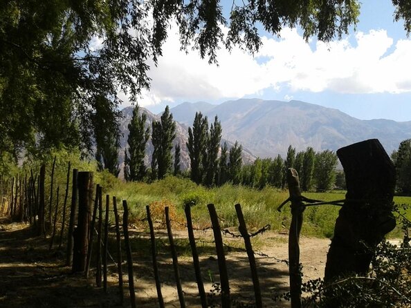 Trip to the Marañon Art Park From Mendoza. Dinner in Uspallata - About Your Stay