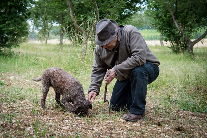 Truffle Cavage Demonstration