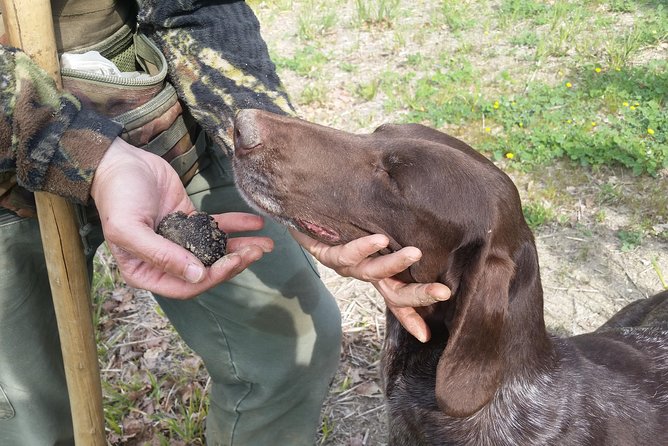 Truffle Hunt & Bio Lunch in Assisi - Good To Know