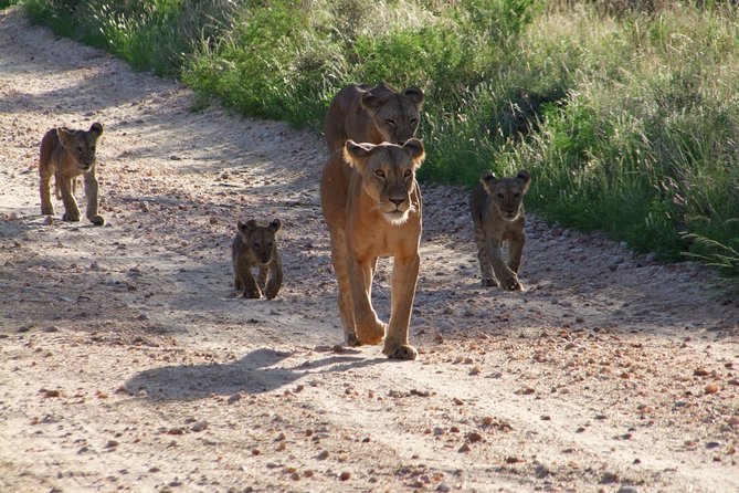 Tsavo East Amboseli and Tsavo West Safari 4 Days Starting Malindi - Safari Itinerary Overview