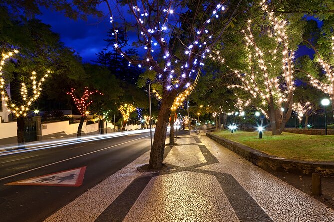 Tuk Tuk Funchal Magic Christmas Lights Review - Key Points