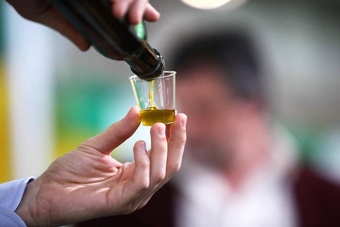 Tuscan ExtraVirgin Olive Oil Tour