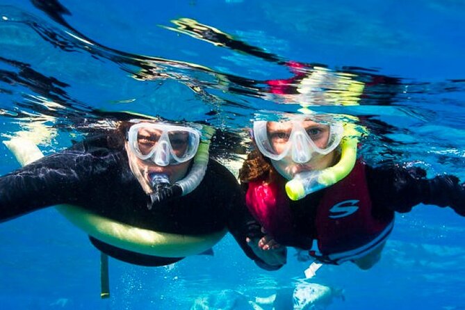 Two Stop Snorkel Adventure From Maui - Good To Know