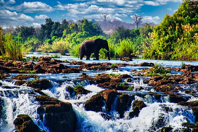 Unique Safari Game Drives in Zambezi National Park, 4 Options - Good To Know