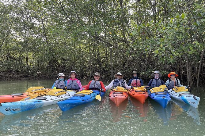 Uvita: Marino Ballena National Park Mangroves - Sea Kayaking - Good To Know