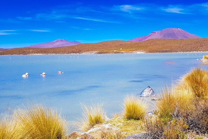 Uyuni Salt Flats - 3 Days / 2 Nights - English Speaking Guide - Tour Overview