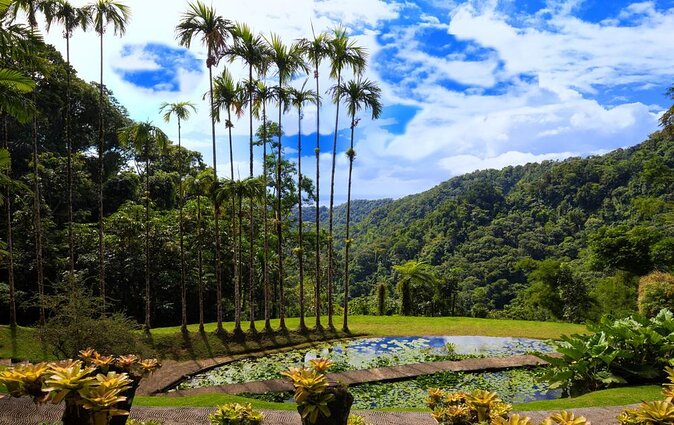 V.I.P Green Escape 1- Botanical Garden - Good To Know