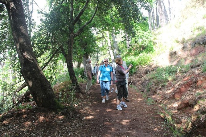 Vale Paradiso - Rock (Half Day Walk) - Good To Know