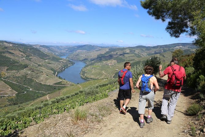 Valença Do Douro Walking Tour - Good To Know