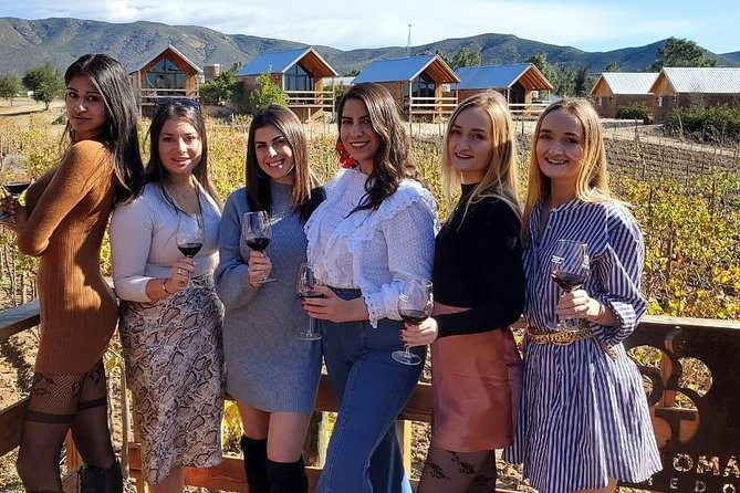 Valle De Guadalupe Wine Tour - Good To Know