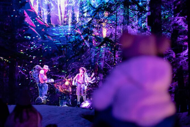 Vallea Lumina Multimedia Experience - Good To Know