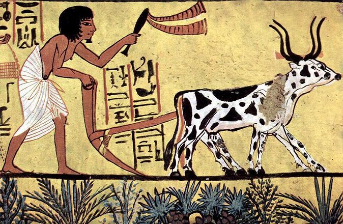 Valley of the Nobles /Habu Temple & Deir El Medina - Key Points