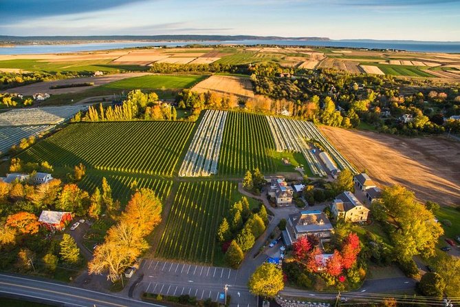 Valley Wine Tour. You Will Buy Your Own Wine and Meals. - Good To Know