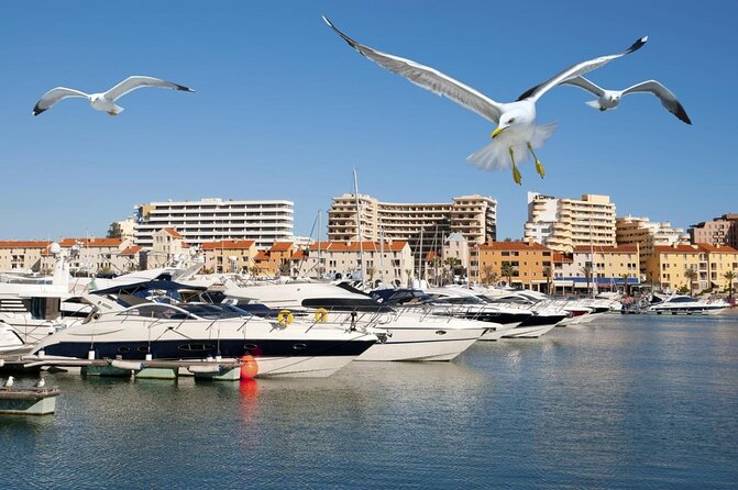 Vilamoura Quarteira Seaside Segway Tour by Night - Good To Know