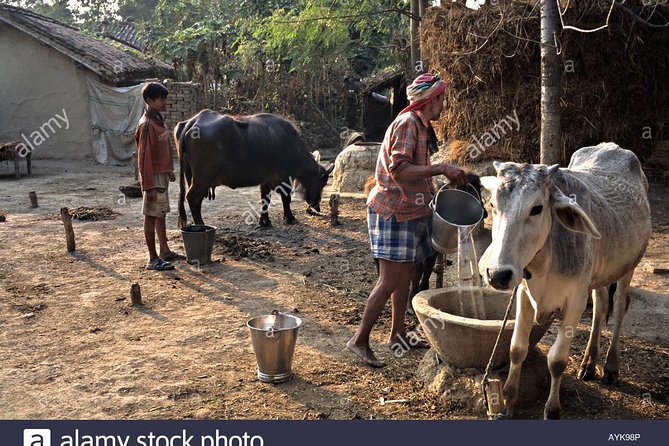 Village Tour - Good To Know