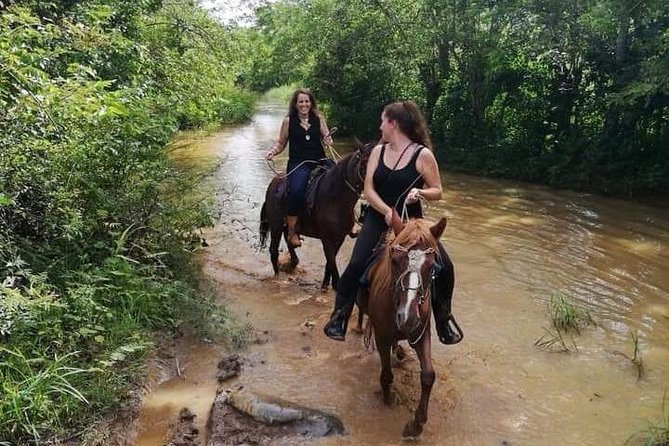 Viñales Horse Tour - Good To Know